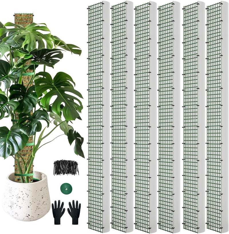 HOLANHING 60" Metal Moss Pole, D Shape Sphagnum Moss Pole, Moss Poles for Climbing Plants, Monstera, Indoor Climbing Plants (6Pcs 60") - Image 1
